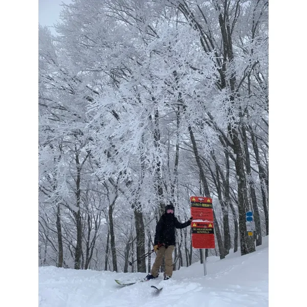 Cortina & Norikura 導滑行程-全日6小時｜Mori｜ 白馬 Hakuba