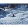 7 The Beginner’s Tour Backcountry 野雪體驗-全日6小時|Tropicslide| 白馬 Hakuba