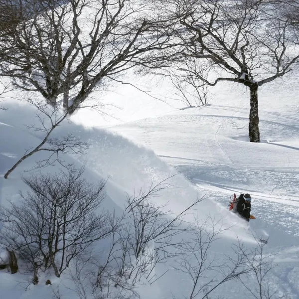 Cortina & Norikura 導滑行程-全日6小時｜Mori｜ 白馬 Hakuba