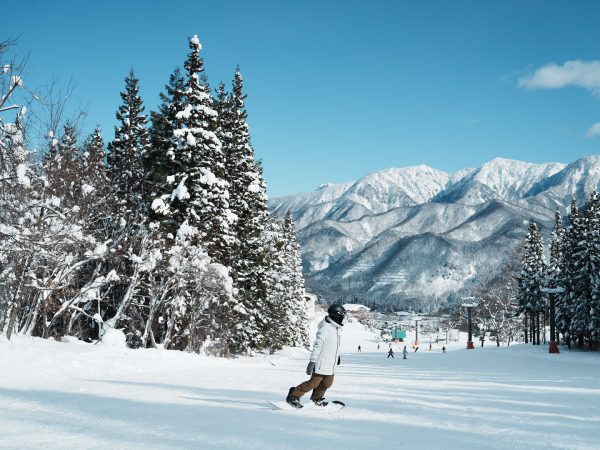 安平 半日課程-三小時--野澤/斑尾/志賀/戶隱/竜王-單/雙板中文滑雪教練