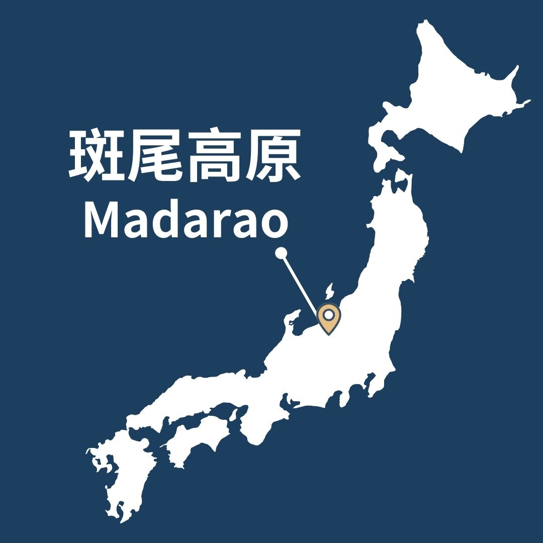 斑尾高原滑雪教練